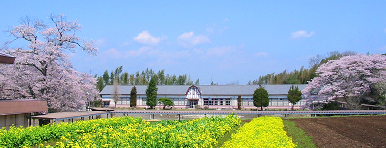 栃木県茂木町の宿泊施設 旅館 こころ宿ｎａｇｏｍｉ なごみ